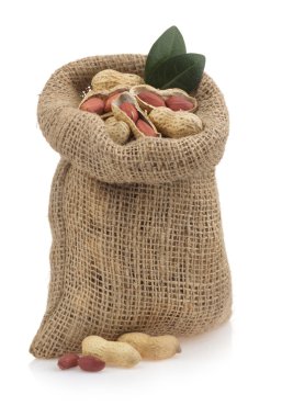 fındık fıstık beyaz izole