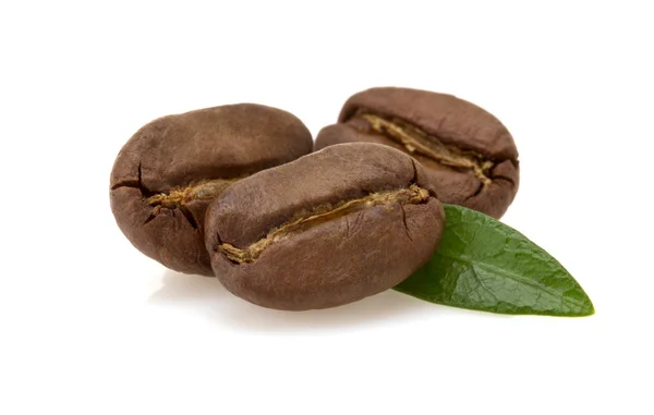 Beyaz arka planda kahve çekirdekleri