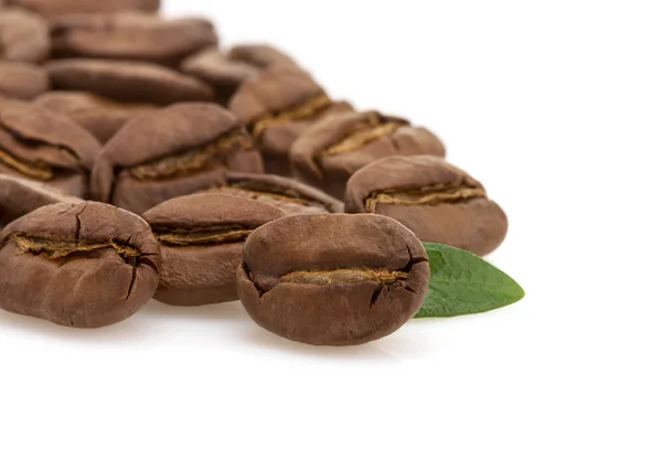 Coffee beans on white background — Stock Photo, Image