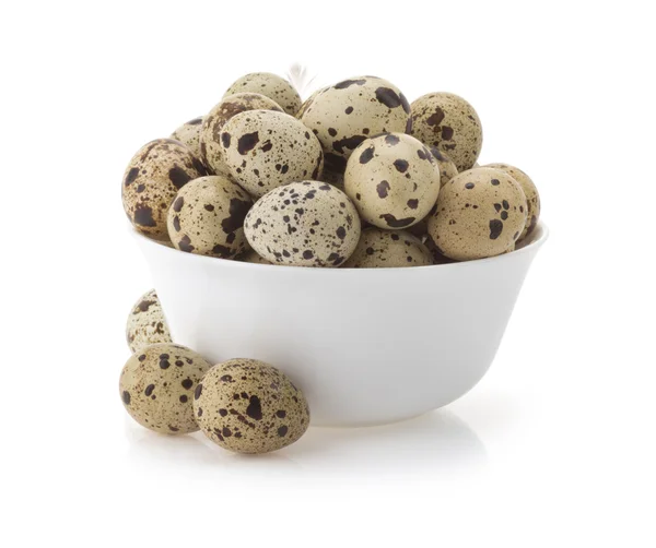 Quail eggs on white — Stock Photo, Image