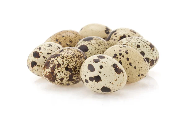 Quail egg on white — Stock Photo, Image