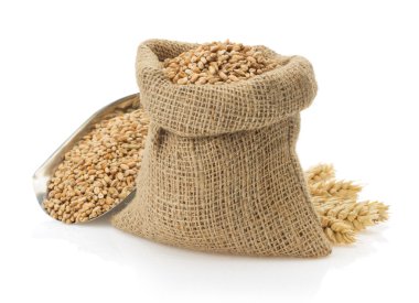 Beyaz buğday tahıl