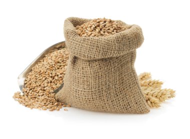 Beyaz buğday tahıl