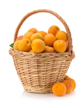 beyaz zemin üzerine kayısı