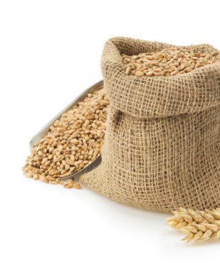 Beyaz buğday tahıl