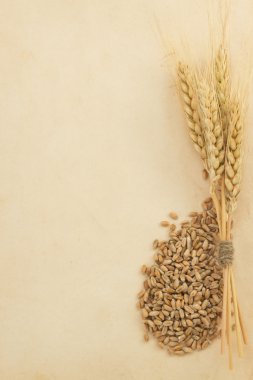 kağıt üzerinde buğday kulaklar