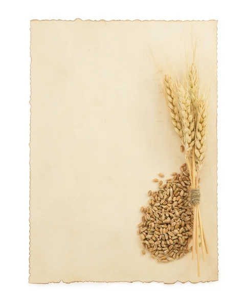 Spighe di grano su bianco — Foto Stock