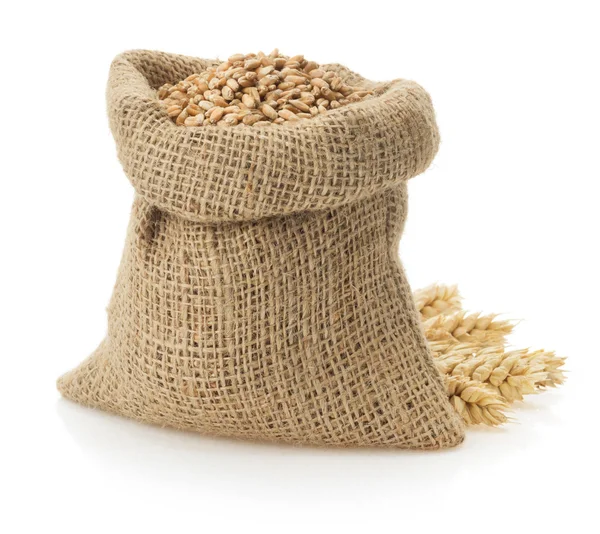 Beyaz buğday tahıl — Stok fotoğraf