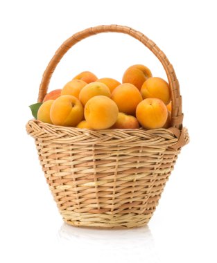 beyaz zemin üzerine kayısı