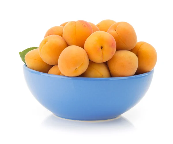 Apricot on white background — Stock Photo, Image