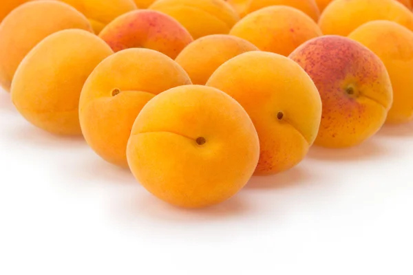 Apricot on white background — Stock Photo, Image