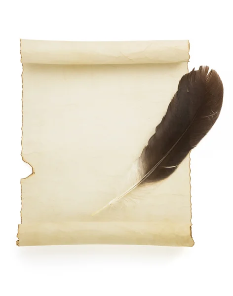 Пергаментный свиток на белом — стоковое фото