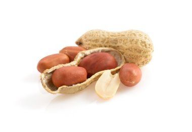 beyaz üzerine fındık fıstık