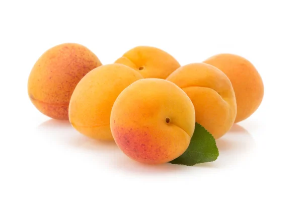 Apricot on white background — Stock Photo, Image