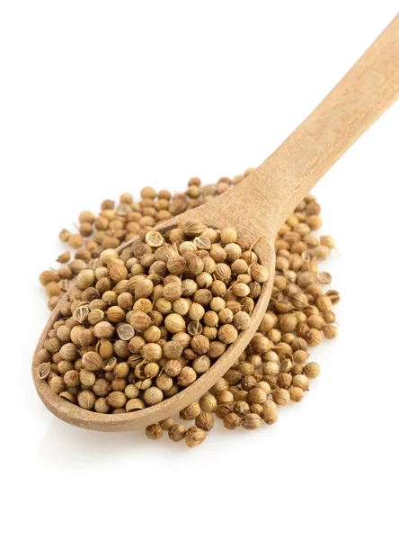 Coriander spices in spoon — Stock Photo, Image