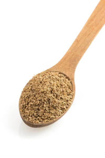 Coriander powder and spoon — Stock Photo, Image