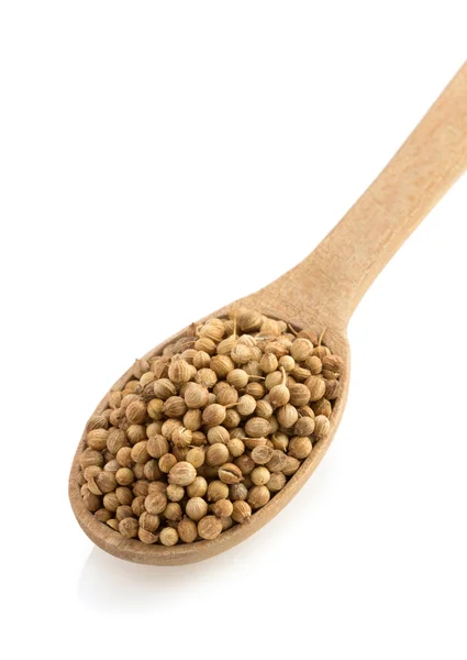 Coriander spices in spoon — Stock Photo, Image