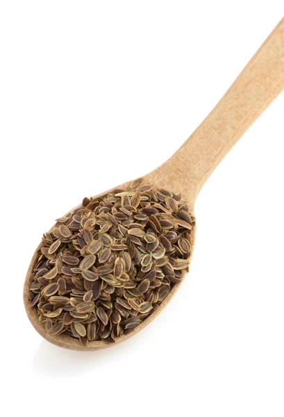 Dried dill seeds in spoon — Stock Photo, Image
