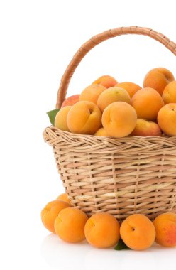 beyaz zemin üzerine kayısı