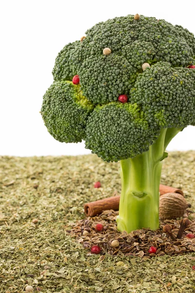 Broccoli and spices on white — Stock Photo, Image