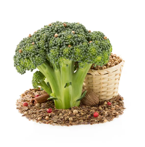 Broccoli and spices on white — Stock Photo, Image