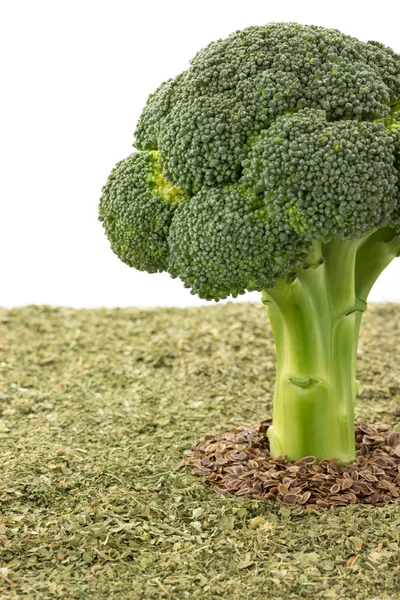 Brokkoli und Gewürze auf Weiß — Stockfoto