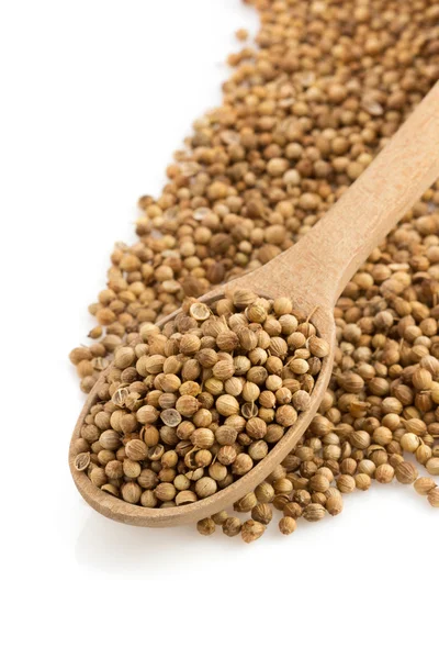 Coriander spices in spoon — Stock Photo, Image