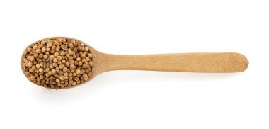 kaşığı kişniş baharat 