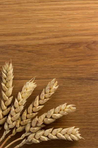 Ahşap üzerine buğday Başak — Stok fotoğraf