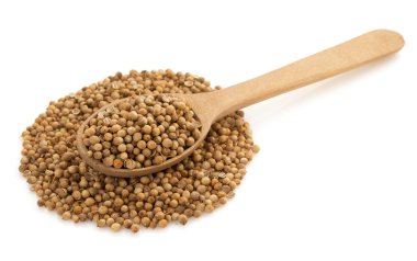 kaşığı kişniş baharat