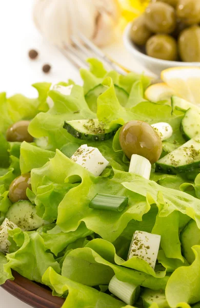 Salad in plate — Stock Photo, Image