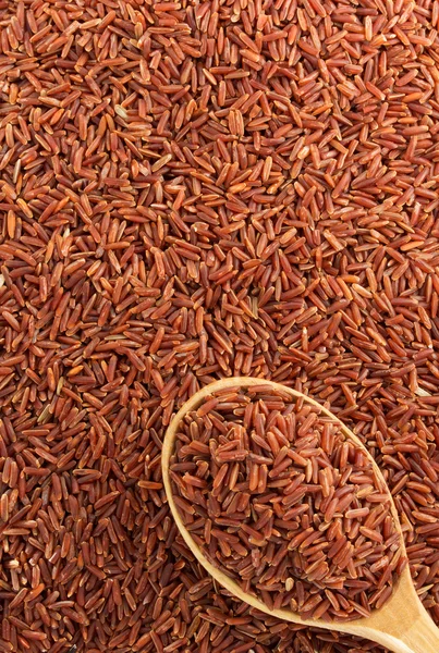 Grãos de arroz — Fotografia de Stock