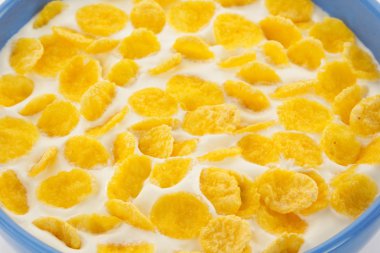 Mısır gevreği ve süt 