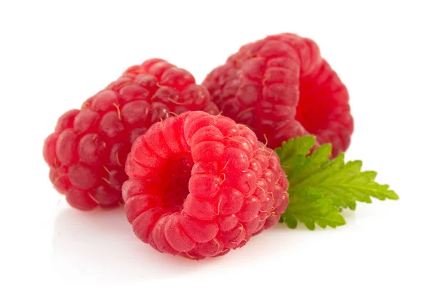 Ripe Raspberry — Stock Photo, Image