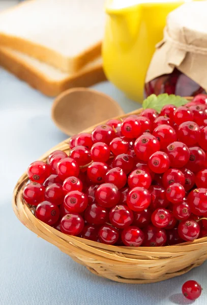 Red currants in bowl — Stock Photo, Image