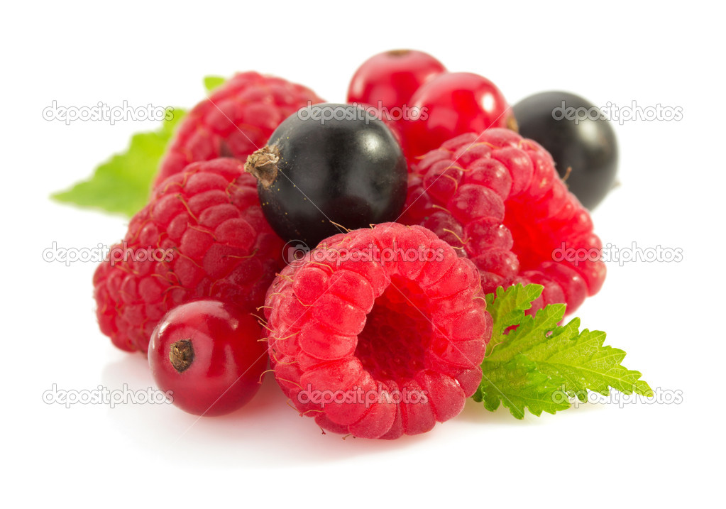 Raspberry and currants