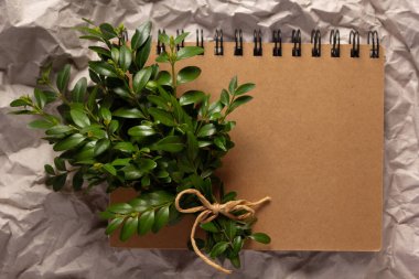 Arkaplan dokusu olarak parsel kağıdında yapraklı defter ve dal. Geri dönüşüm kavramı veya yaratıcı fikir