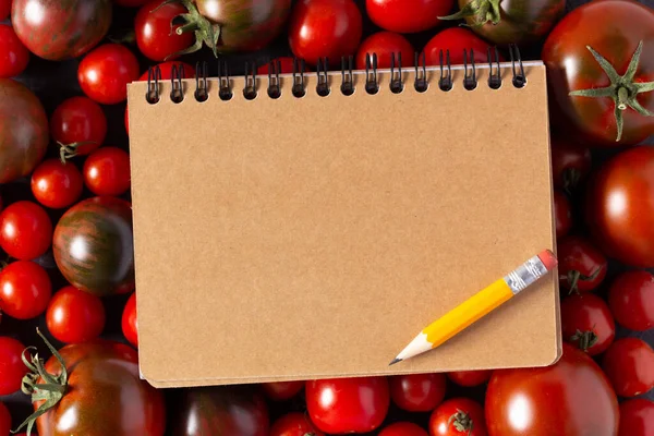 菜谱和新鲜西红柿在桌上 带桌上顶视图食谱的西红柿 图库图片