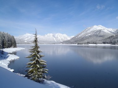 Winter Landscape clipart