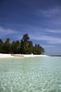 Maldivlere tatil