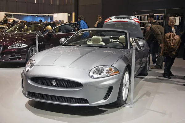 Jaguar xk e50 Cabrio — Stok fotoğraf