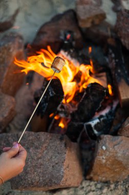 Semi-burnt marshmallows roasting on an open fire.