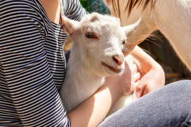Kızın elinde genç bir keçi var.