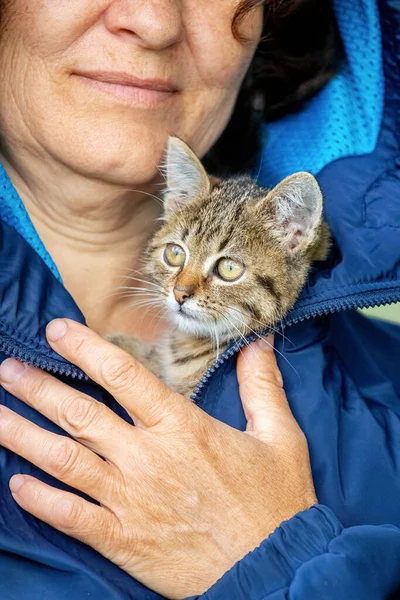 Yaşlı Bir Kadın Küçük Çizgili Bir Kedi Yavrusu Tutuyor Bir — Stok fotoğraf