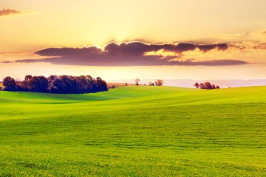 Dalgalı yeşil alan, uzaktaki ağaçlar ve gün batımında bulutlu gökyüzü.