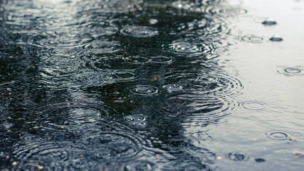 River Rain Water Surface Downpour — Stock Photo, Image