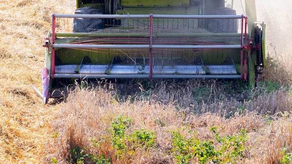 Συνδυασμός Στο Χωράφι Αλωνίζει Την Καλλιέργεια Σιταριού Συνδυάστε Θεριζοαλωνιστική Μηχανή — Φωτογραφία Αρχείου