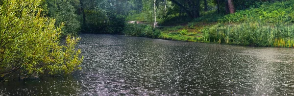 Rzeka Pobliżu Lasu Deszczową Pogodę Pada Deszcz — Zdjęcie stockowe