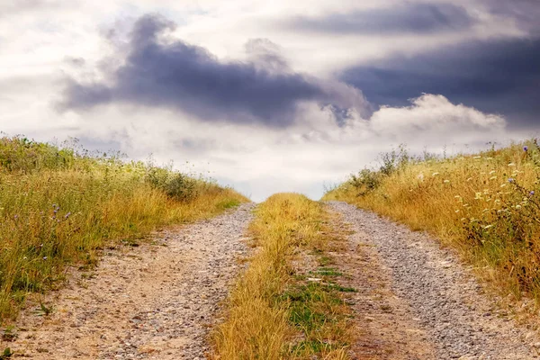 Kırsal alan, tarlanın ortasında toprak bir yol ve bulutlu bir gökyüzü.