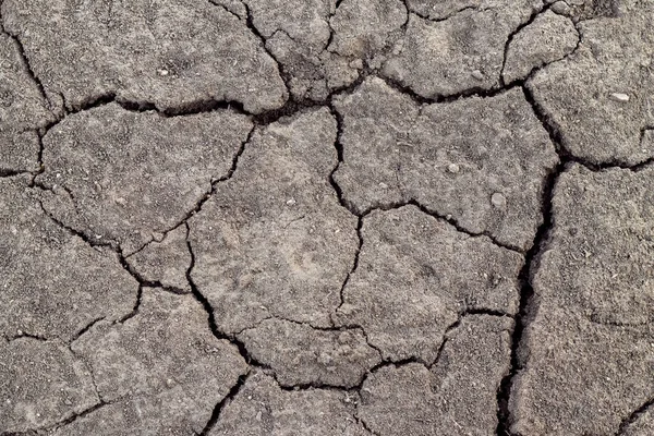 土の表面は干ばつの間の亀裂で覆われています — ストック写真